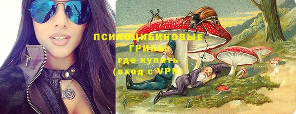 спиды Богородск