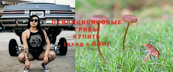 спиды Богородск