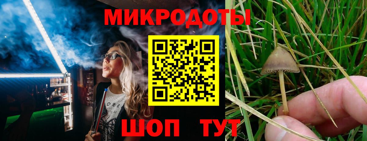 Галлюциногенные грибы ЛСД  Галлюциногенные грибы прущие грибы  Вход с VPN  Боровичи 